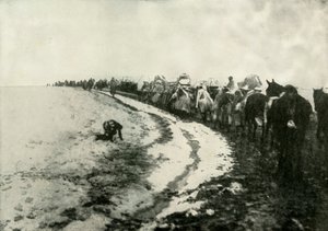 La grande ritirata serba, 1919