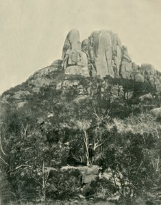 Il Gobbo, Montagne di Buffalo, 1901 da Unbekannt