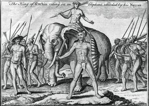 Il re di Cochin a cavallo di un elefante, accompagnato dai suoi Nayros da Unbekannt