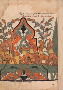 Il re delle lepri in consiglio con i suoi sudditi, Folio da un Kalila wa Dimna, XVIII secolo da Unbekannt