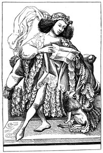 Il Cavaliere