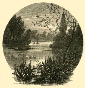 Il lago, Battersea Park, c1878 da Unbekannt