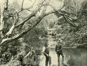 Il luogo di lancio, Upper Yarra, Victoria, 1901 da Unbekannt