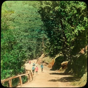 La Mall Road, Simla, India, fine XIX o inizio XX secolo da Unbekannt