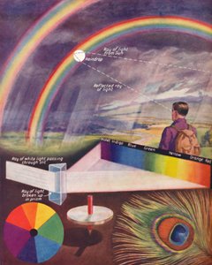 I Molti Colori che Compongono la Luce Bianca da Unbekannt