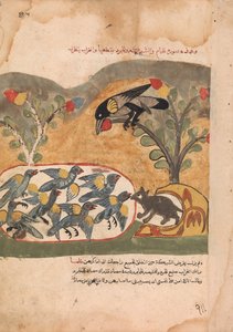 Il topo rosicchia la rete che imprigiona le colombe, Foglio da un Kalila wa Dimna, XVIII secolo da Unbekannt