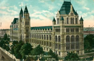 Il Museo di Storia Naturale, Londra, c1910 da Unbekannt