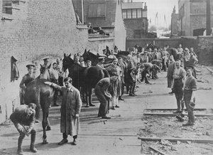 Il Nuovo Esercito in addestramento alla Scuola dei Maniscalchi, 1915 da Unbekannt