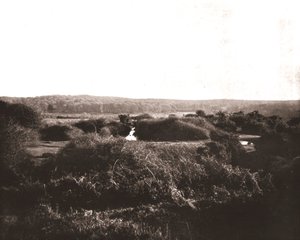 La Nuova Foresta, Hampshire da Unbekannt