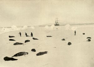 Il Nimrod a Pram Point il 4 marzo 1909 da Unbekannt