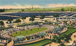 Il paddock a Santa Anita, Los Angeles Turf Club, Arcadia, California, anni 