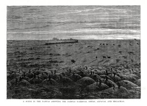 La ferrovia delle Pampas, bassopiani sudamericani da Unbekannt