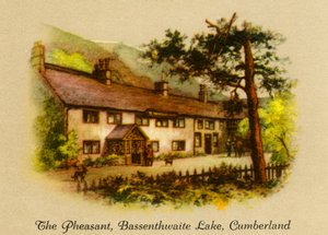Il fagiano, Lago Bassenthwaite, Cumberland, 1936 da Unbekannt