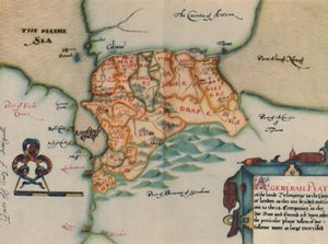 La piantagione dell