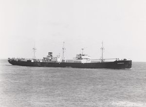 La nave da carico polacca 