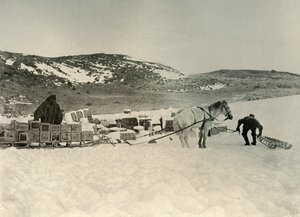 Il Pont Quan sta per tirare una slitta carica di provviste, c. 1908, 1909 da Unbekannt