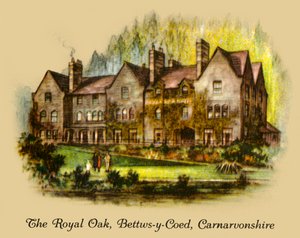La Quercia Reale, Bettws-y-Coed, Carnavonshire, 1936 da Unbekannt