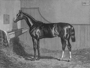 Il Rt. Hon. Il Conte di Lichfields Elis. Vincitore del St. Leger 1836, 1911 da Unbekannt