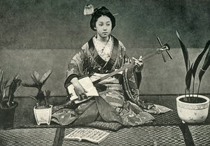 Il Samisen, 1891