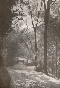 Lo spirito di Tijuca da Unbekannt
