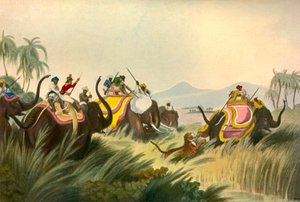 La caccia alla tigre, c1808, 1901 da Unbekannt