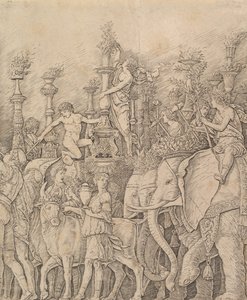 Il trionfo di Cesare: Gli elefanti da Unbekannt