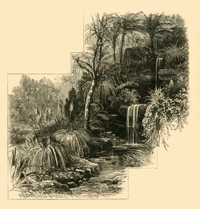 I Giardini Tropicali, Battersea Park, c1878 da Unbekannt