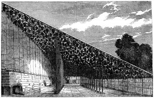La serra a Hampton Court da Unbekannt