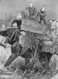 La visita del Principe di Galles in India, 1876: L