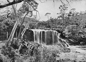 La roccia piangente a Wentworth Falls, Blue Mountains, c1900 da Unbekannt