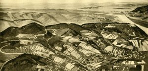 La Strada del Wienerwald, Vienna, Austria, c1935 da Unbekannt