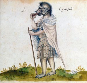 Il cinocefalo, XV secolo da Unbekannt