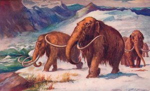 La prima era glaciale, quando i mammut vagavano per la Terra e l