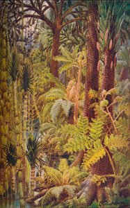 La vegetazione gigantesca dell