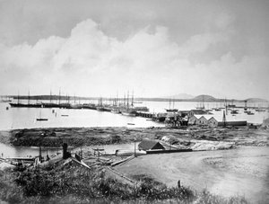 Il porto, Auckland, Nuova Zelanda, c1870-1880