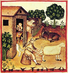 La produzione del formaggio. Una miniatura dal Tacuinum Sanitatis, seconda metà del XIV secolo da Unbekannt