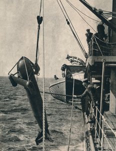 Il paravane a forma di squalo, 1943