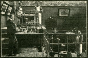 Non ci sono allarmi di veleno nei domini dello Zar, 1901