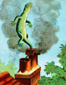 Ecco Bill, c1900