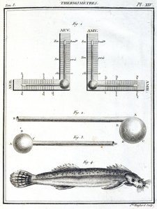 Termometri