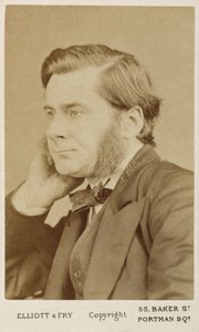 Thomas Henry Huxley, biologo britannico, c1865-1886 da Unbekannt
