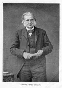 Thomas Henry Huxley, biologo britannico, c1870s da Unbekannt
