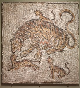 Tigre e Cuccioli, 300s da Unbekannt