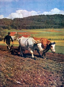Aratura, Germania, 1943 da Unbekannt