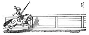 Giostra dell