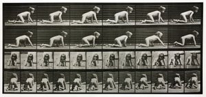 Fotografie time-lapse di un bambino che gattona da Unbekannt
