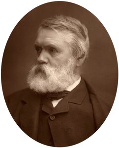 Tom Taylor, drammaturgo e critico, 1881 da Unbekannt