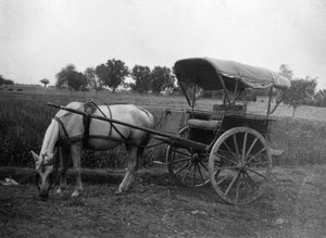 Carrozza Tonga, Muttra, India, 1917 da Unbekannt