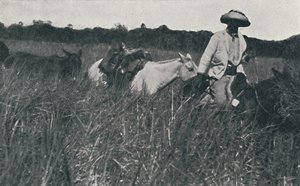 Viaggio nelle Pampas, 1916 da Unbekannt