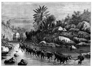 Viaggiare nel Griqualand, Sudafrica, c1890